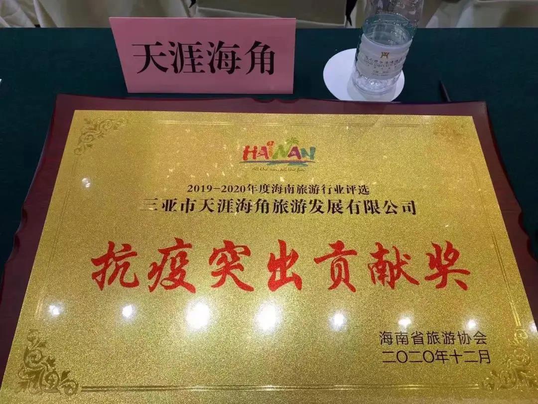 三亚旅游文化发展集团有限公司