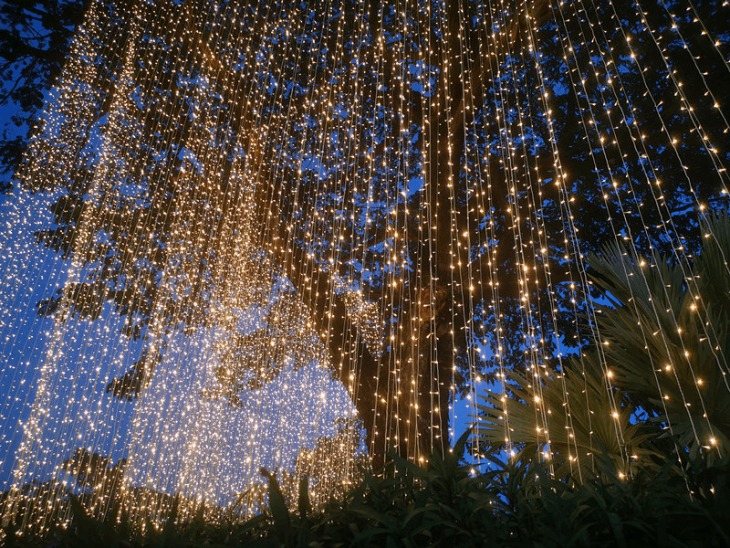 三亚旅游文化发展集团有限公司