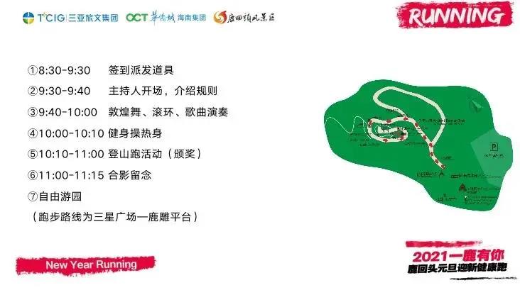 三亚旅游文化发展集团有限公司