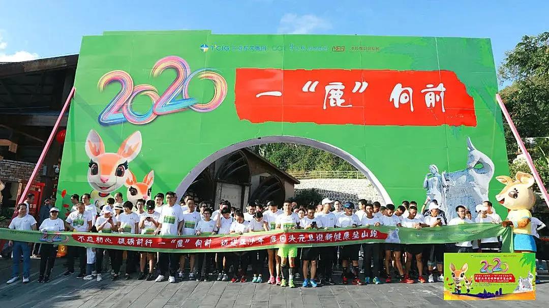 三亚旅游文化发展集团有限公司