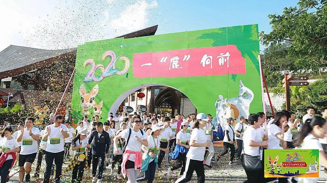 三亚旅游文化发展集团有限公司