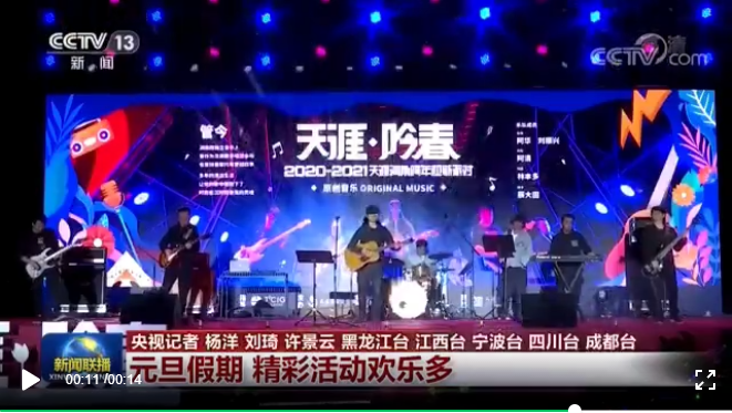 三亚旅游文化发展集团有限公司