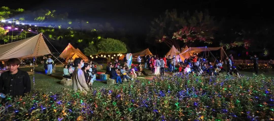 三亚旅游文化发展集团有限公司