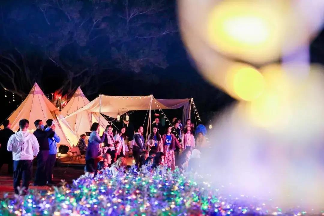 三亚旅游文化发展集团有限公司