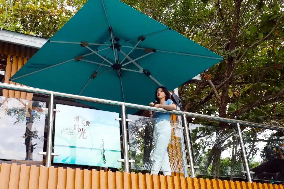 三亚旅游文化发展集团有限公司