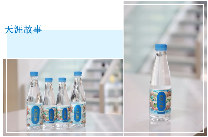 三亚旅游文化发展集团有限公司