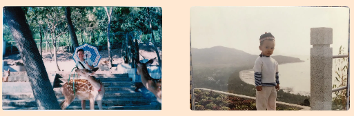 三亚旅游文化发展集团有限公司