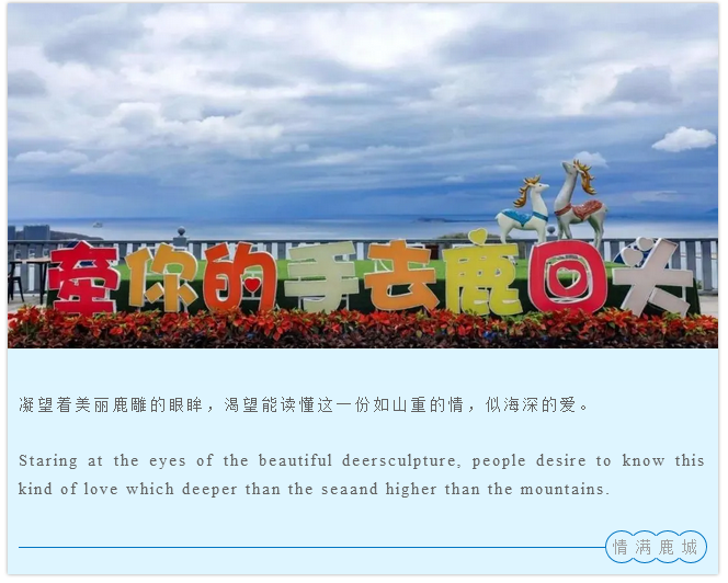 三亚旅游文化发展集团有限公司