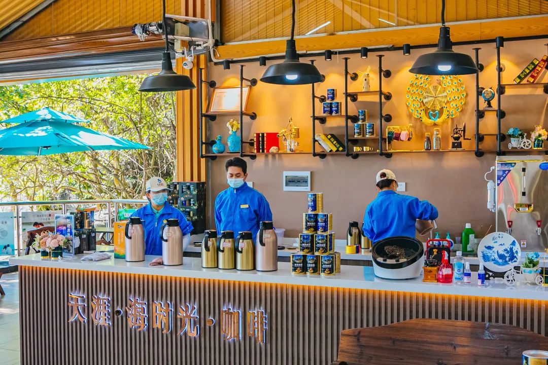 三亚旅游文化发展集团有限公司