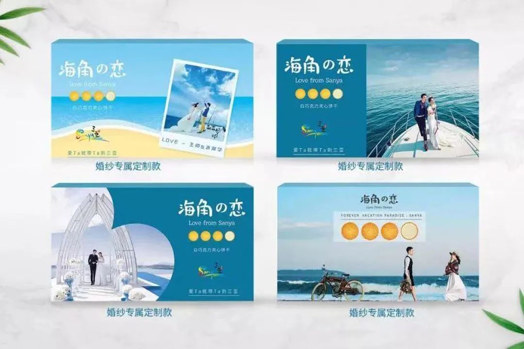 三亚旅游文化发展集团有限公司