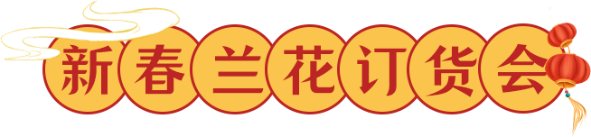 三亚旅游文化发展集团有限公司