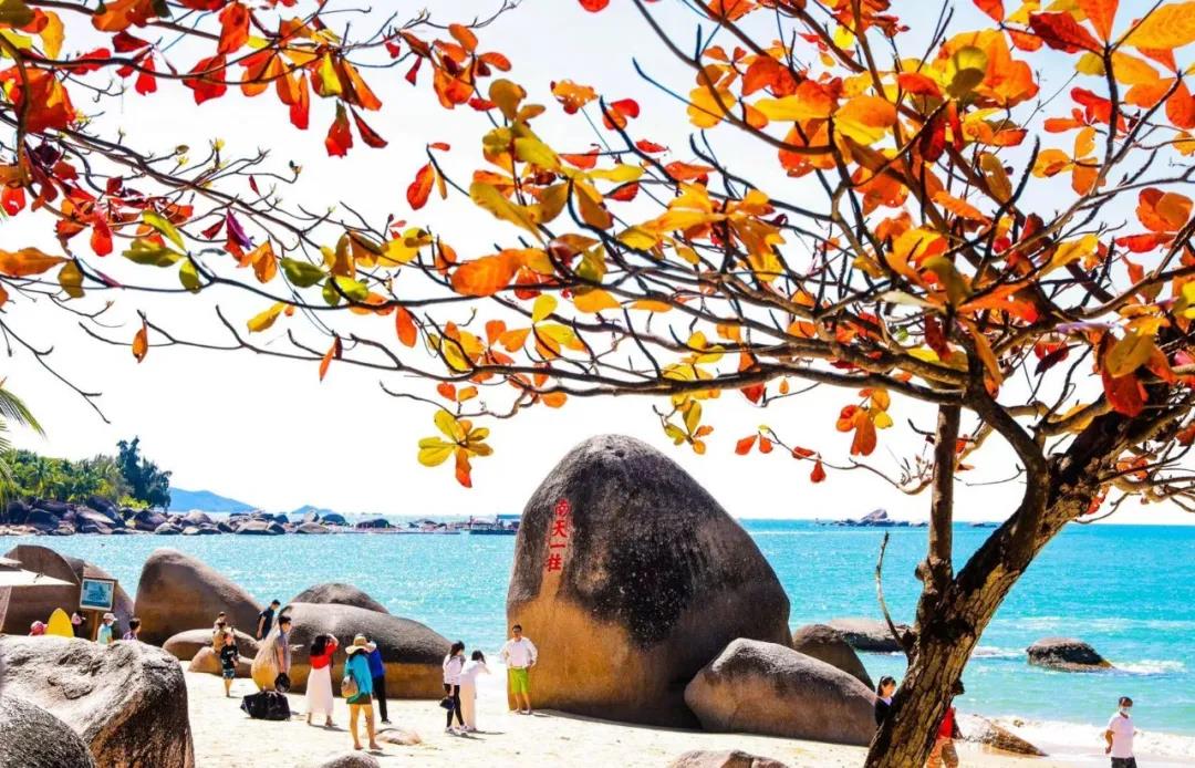 三亚旅游文化发展集团有限公司