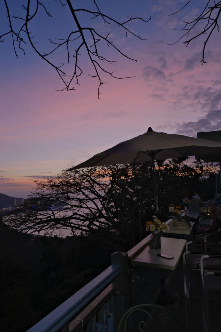 三亚旅游文化发展集团有限公司