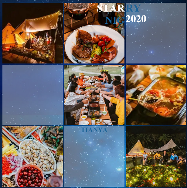 三亚旅游文化发展集团有限公司