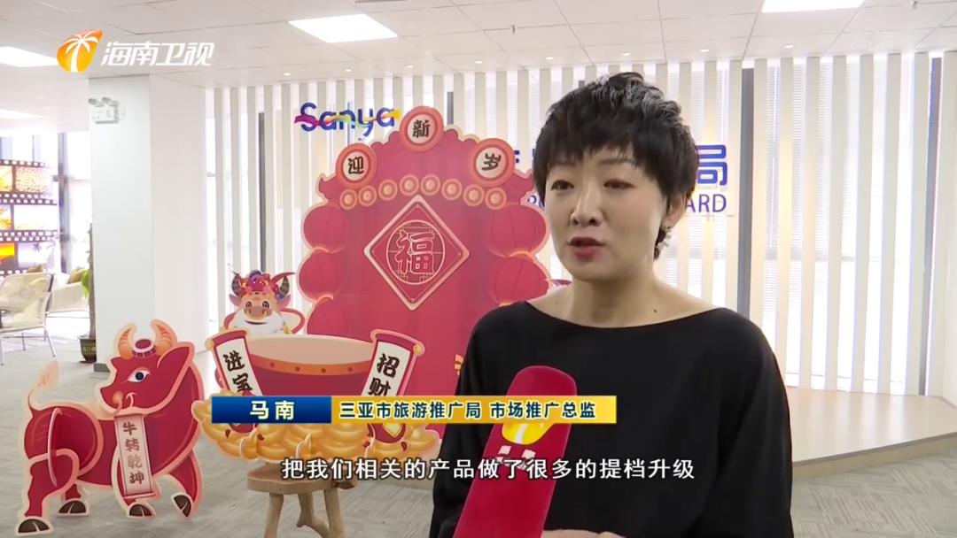 三亚旅游文化发展集团有限公司