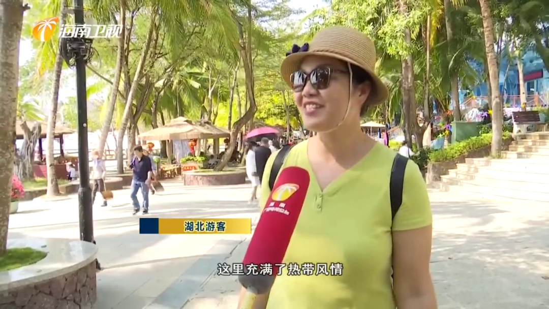 三亚旅游文化发展集团有限公司