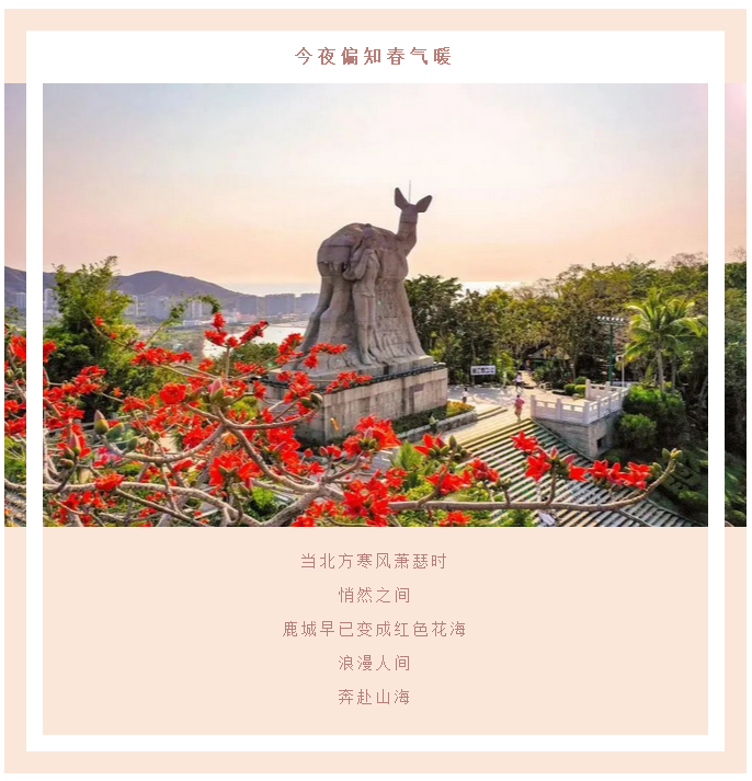 三亚旅游文化发展集团有限公司