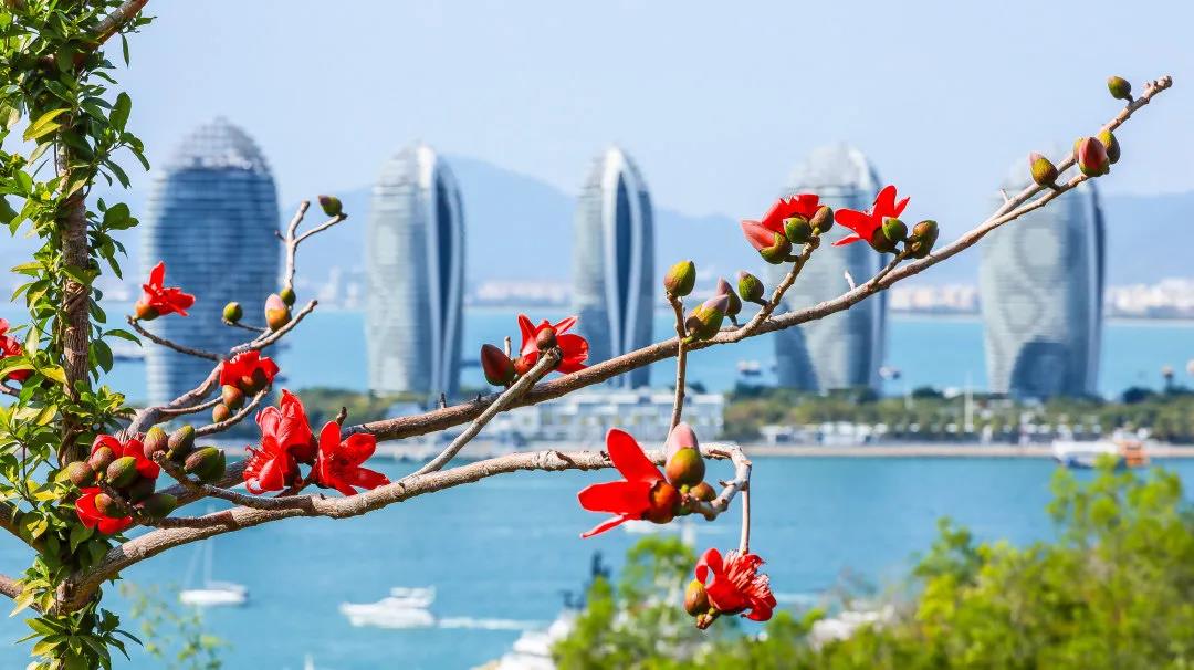 三亚旅游文化发展集团有限公司