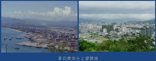 三亚旅游文化发展集团有限公司