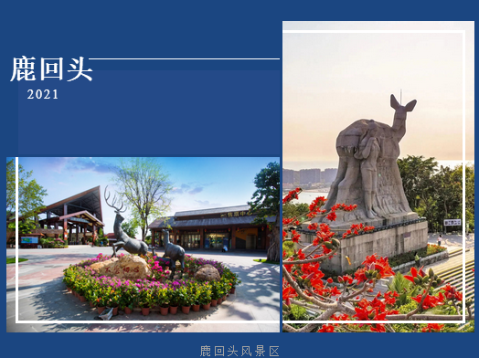 三亚旅游文化发展集团有限公司