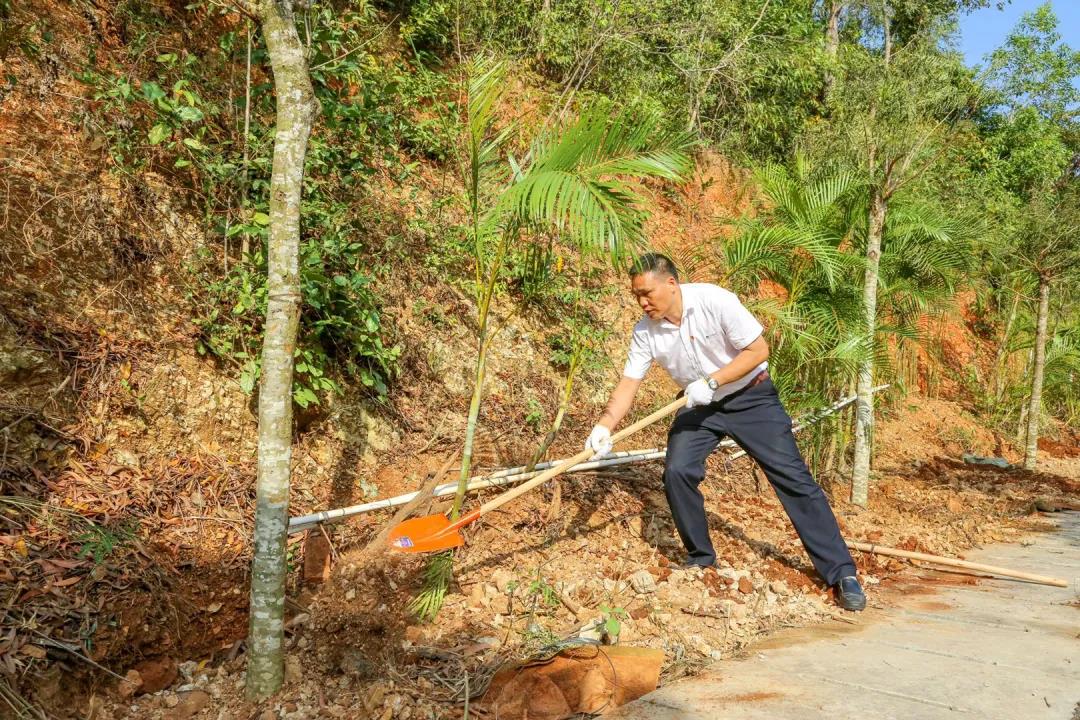 三亚旅游文化发展集团有限公司