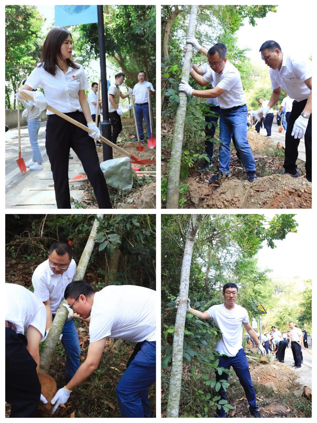三亚旅游文化发展集团有限公司