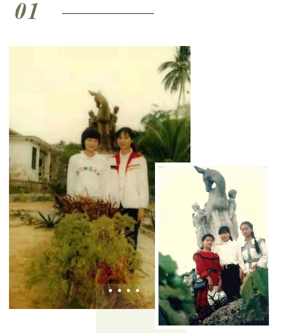 三亚旅游文化发展集团有限公司