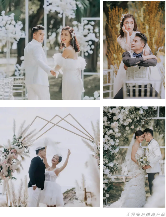 三亚旅游文化发展集团有限公司