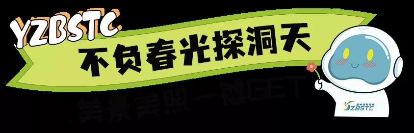 三亚旅游文化发展集团有限公司