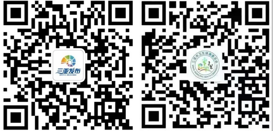 三亚旅游文化发展集团有限公司