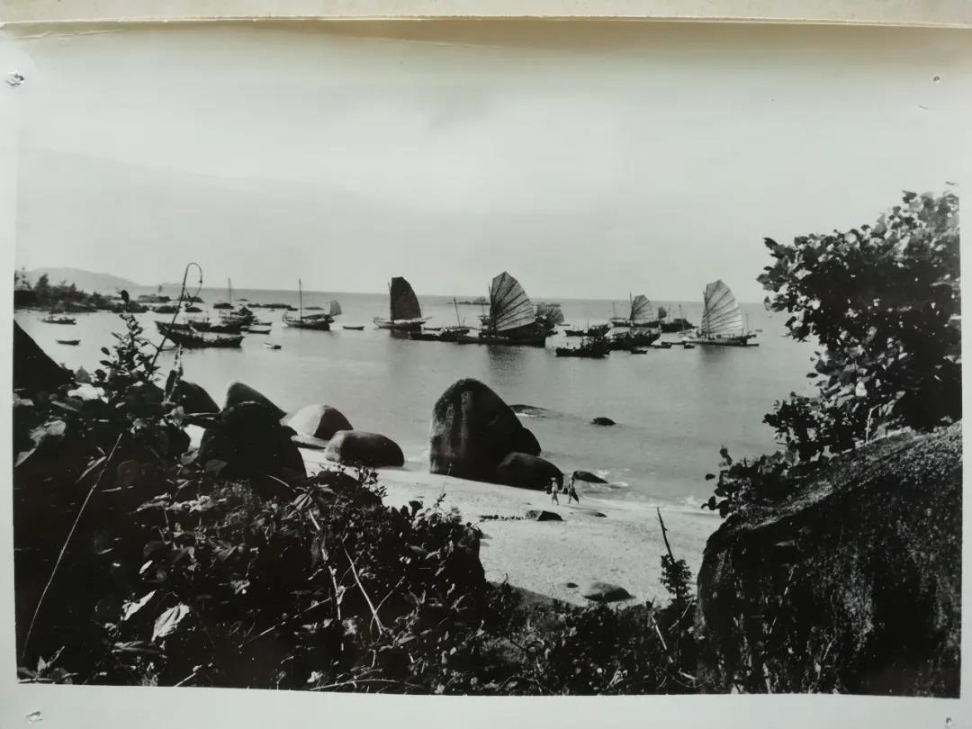 三亚旅游文化发展集团有限公司