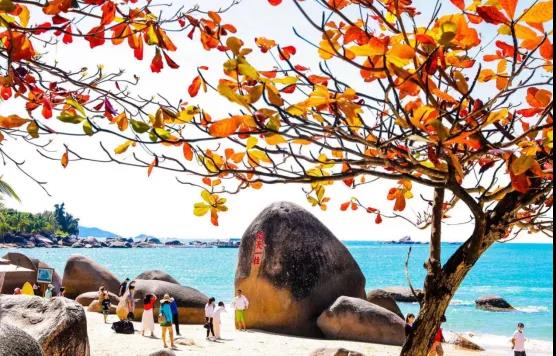 三亚旅游文化发展集团有限公司