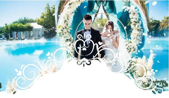 三亚旅游文化发展集团有限公司