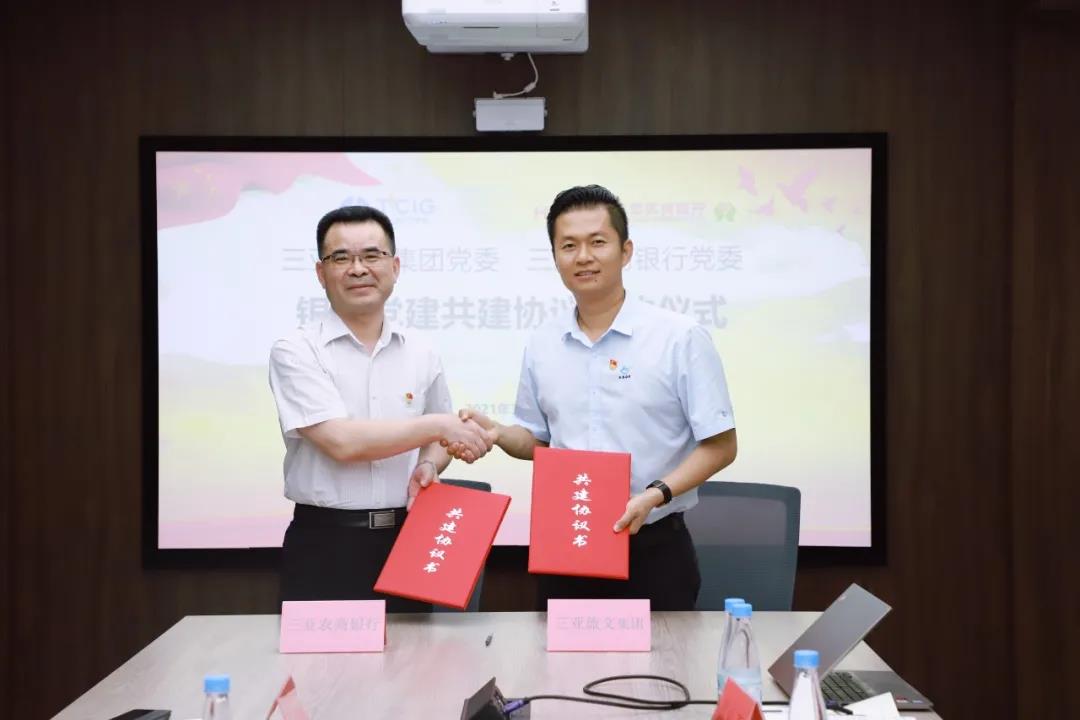 三亚旅游文化发展集团有限公司