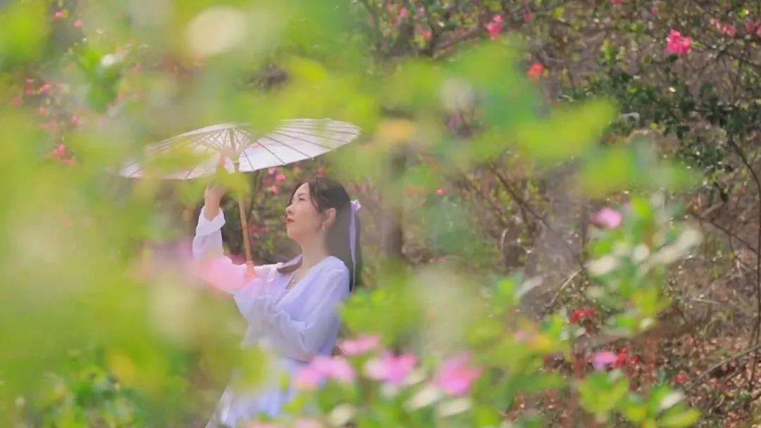 三亚旅游文化发展集团有限公司