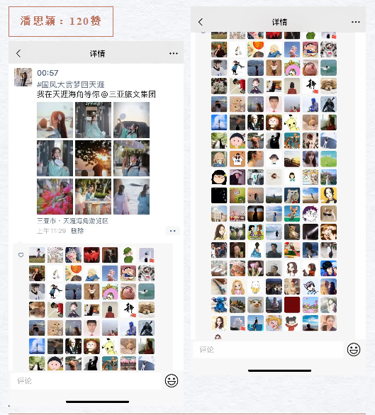 三亚旅游文化发展集团有限公司