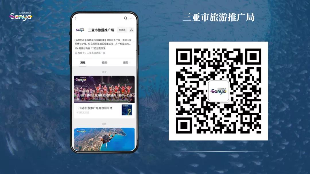 三亚旅游文化发展集团有限公司