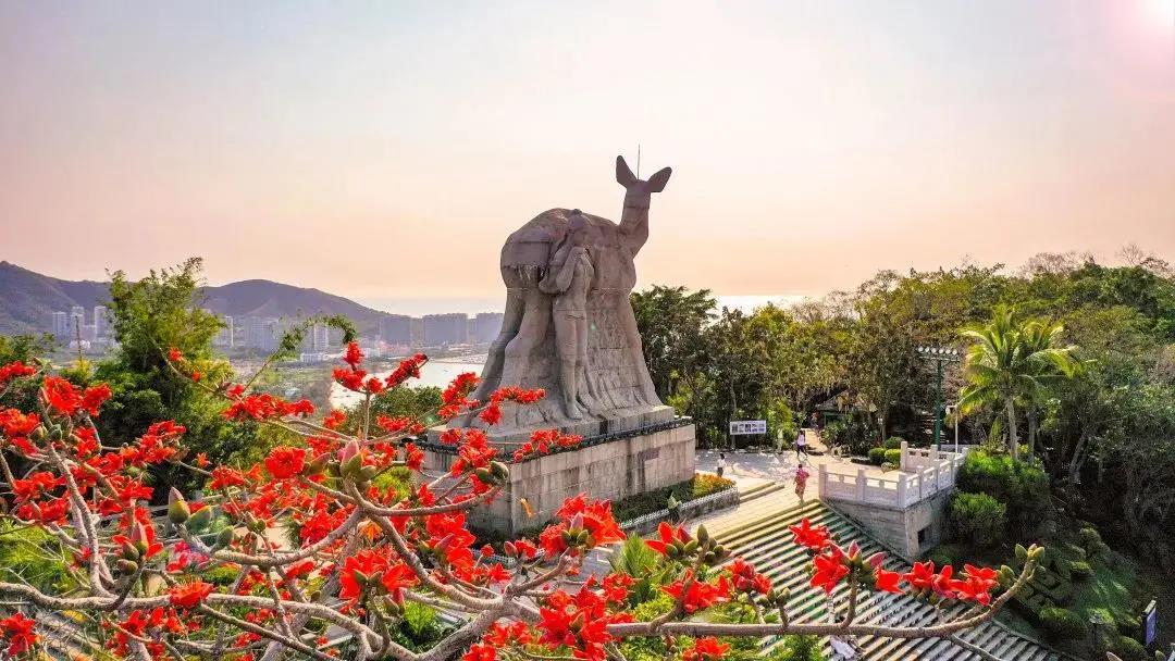 三亚旅游文化发展集团有限公司