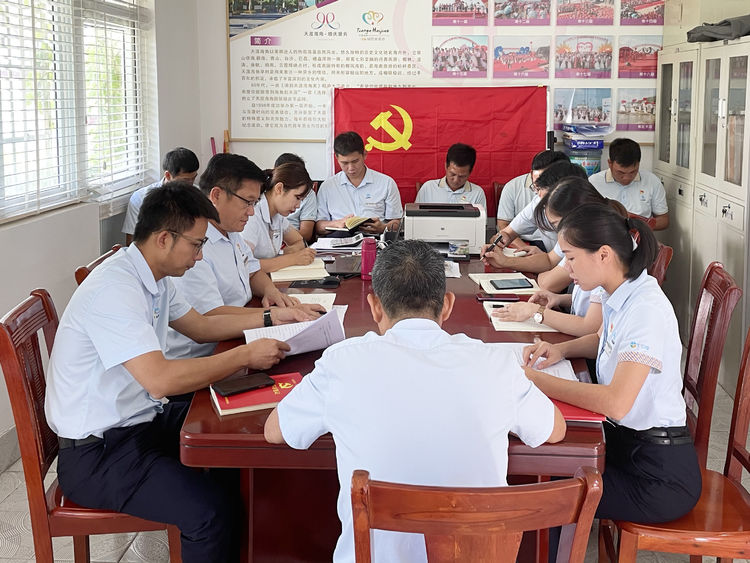 三亚旅游文化发展集团有限公司