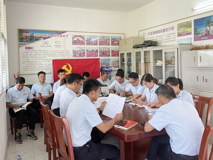 三亚旅游文化发展集团有限公司