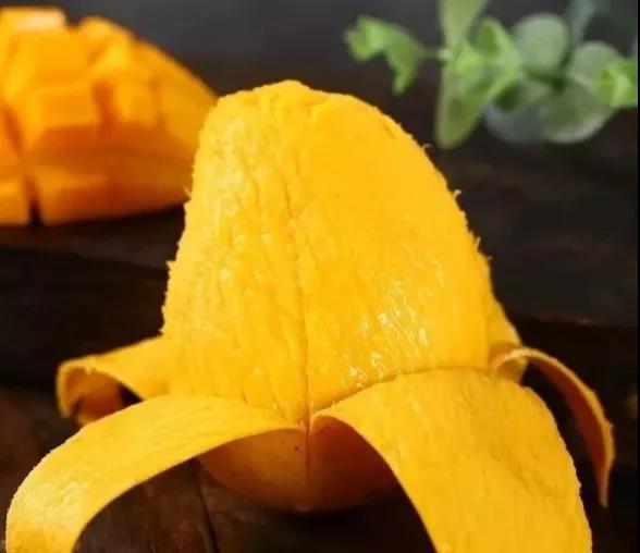 三亚旅游文化发展集团有限公司