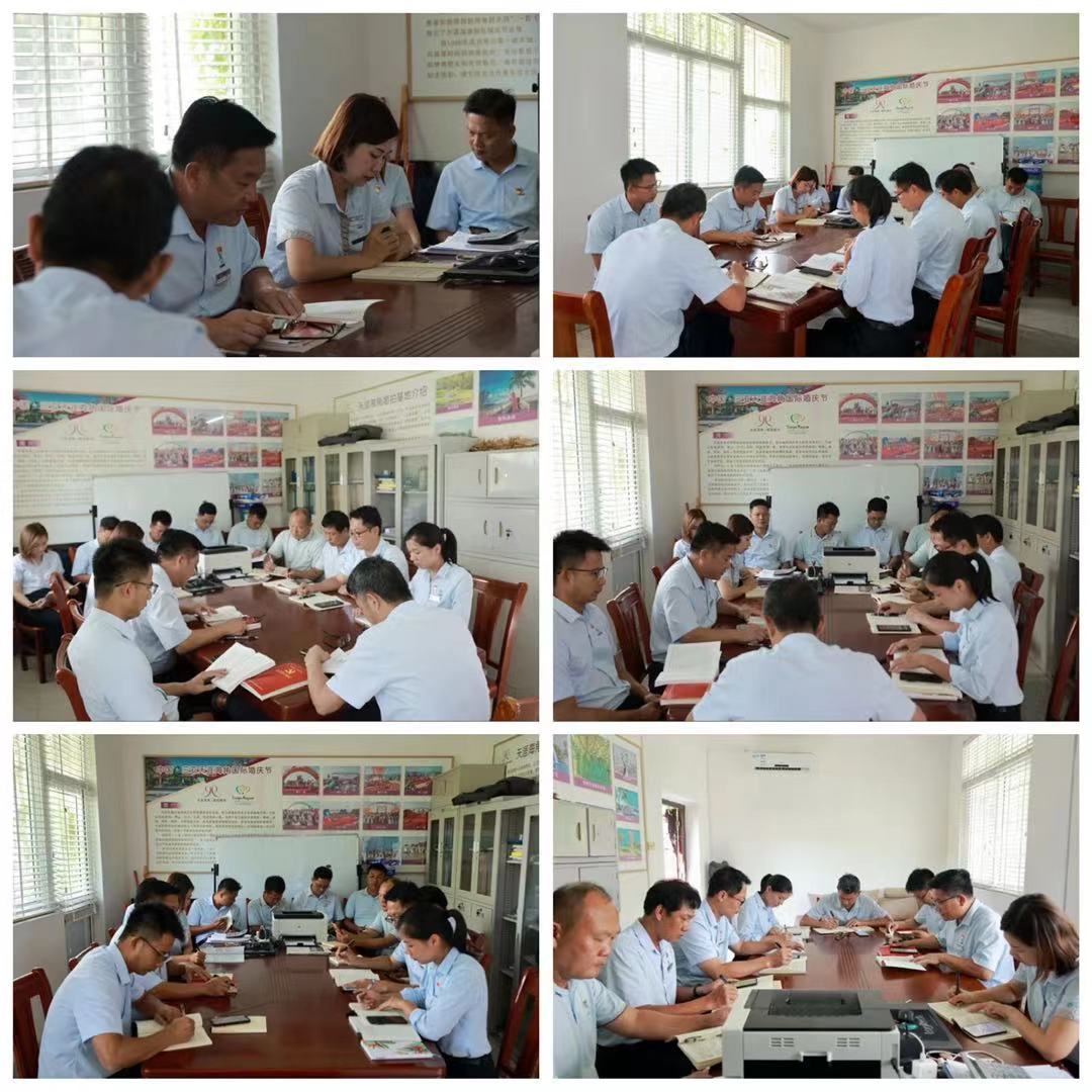 三亚旅游文化发展集团有限公司