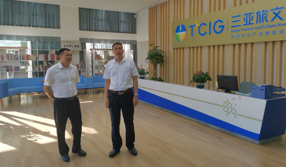 三亚旅游文化发展集团有限公司