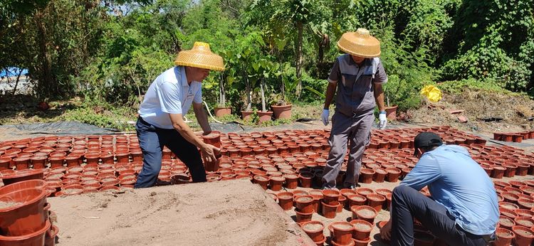 三亚旅游文化发展集团有限公司