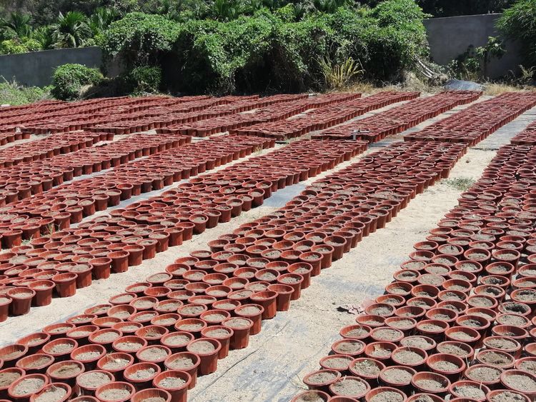 三亚旅游文化发展集团有限公司