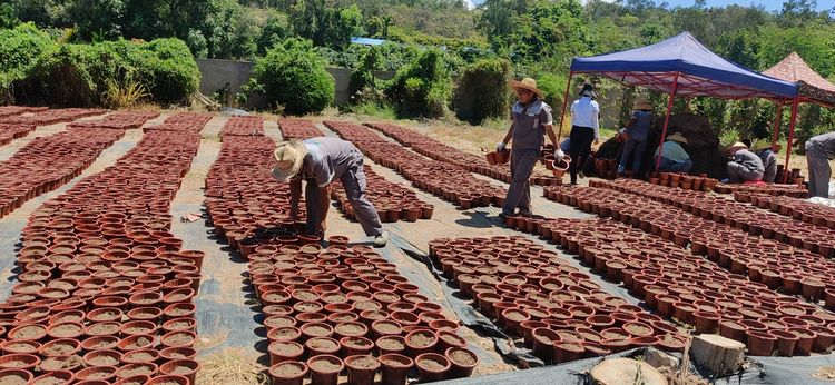 三亚旅游文化发展集团有限公司