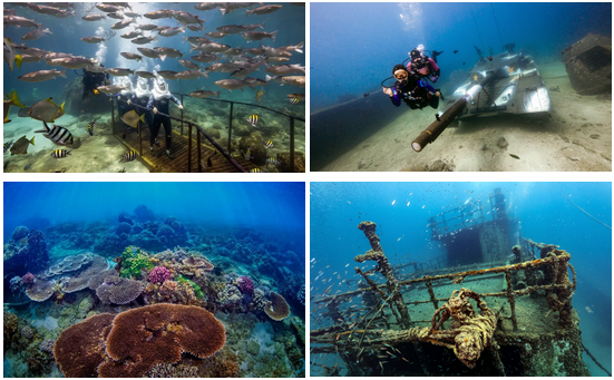 三亚旅游文化发展集团有限公司