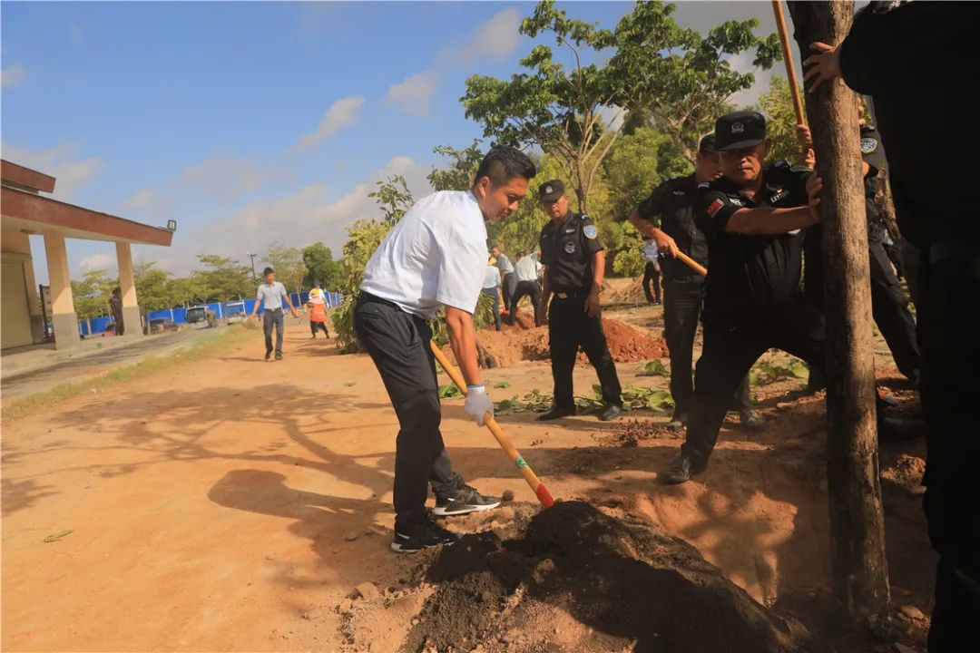 三亚旅游文化发展集团有限公司