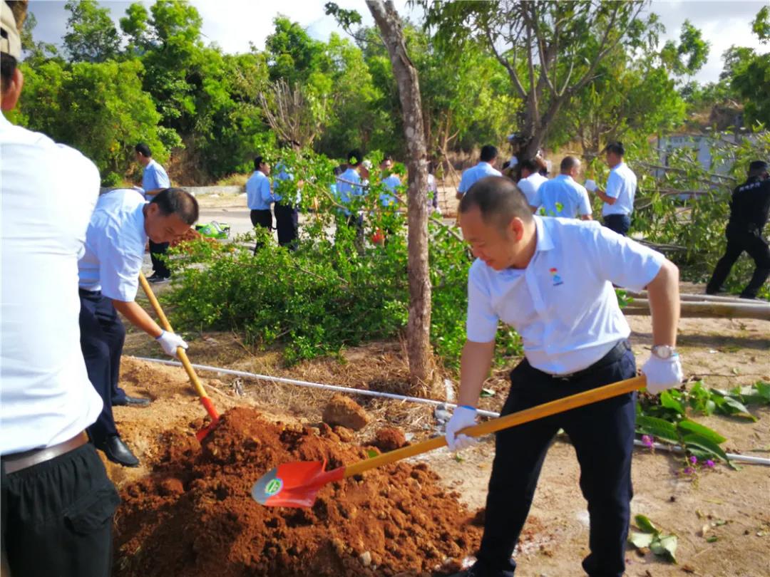 三亚旅游文化发展集团有限公司