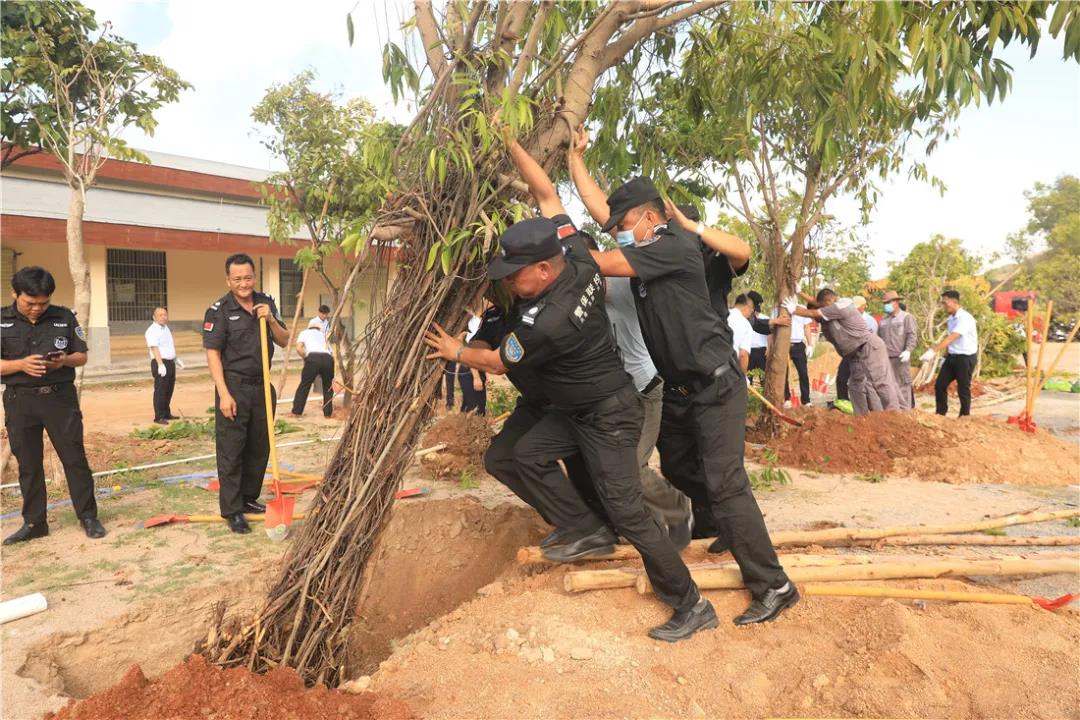 三亚旅游文化发展集团有限公司